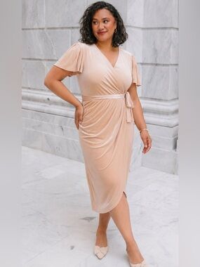 Ivy City Co. Lillie Dress Champagne Velvet_-Large
